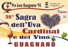 Sagra dell’uva cardinal e del vino