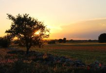 Estate, Coldiretti Puglia: famiglie anticipano vacanze in agriturismo +12%, sempre più vip contadini in Puglia