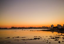 La Puglia si conferma meta preferita dai vacanzieri. Il 20% delle famiglie italiane si concederà un soggiorno nel tacco d’Italia