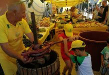 Vendemmia: Coldiretti puglia, feste a Rutigliano e Bari per baby e senior vignaioli per mostrare la puglia migliore