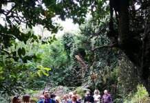 “Urban Nature 2018” con il WWF alla scoperta della natura in città domenica 7 ottobre