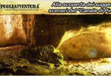 Domenica 11 novembre alla scoperta dei suggestivi scenari del Canale di Pirro