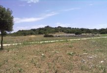 Domenica 16 novembre la mostra “30SCAVI. La ricerca archeologica dell’Università di Bari a Monte Sannace”