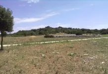 Domenica 16 novembre la mostra “30SCAVI. La ricerca archeologica dell’Università di Bari a Monte Sannace”