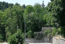 Celle di San Vito: nel borgo più piccolo di Puglia una giornata dedicata al rito della Transumanza