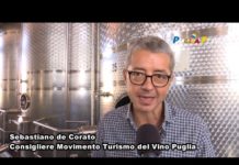 Grande successo per la ventunesima edizione di “Cantine Aperte in Vendemmia”