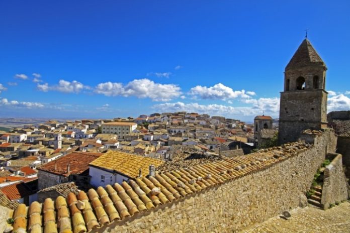 17 Bovino