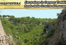 Trekking in “Gravina di Leucaspide”