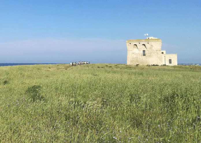 Riserva-di-Torre-Guaceto