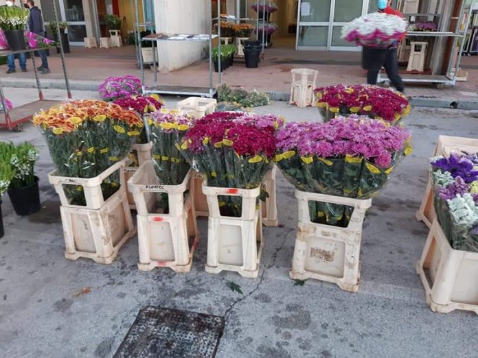 fiori-
