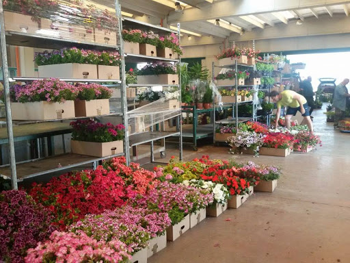 Mercato dei fiori di Leverano 1