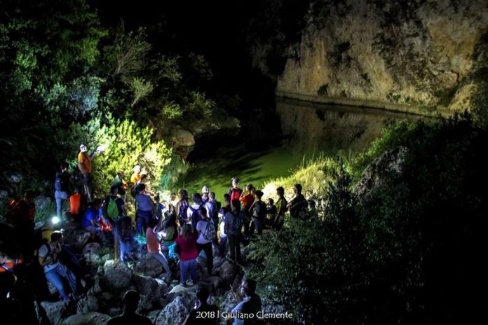 gravina