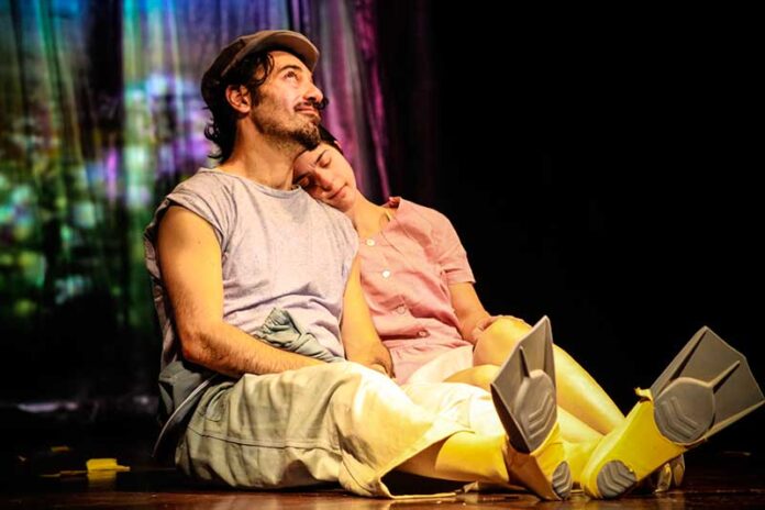 Diario-d-i-un-brutto-anatroccolo-3