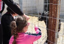 “Stalle aperte in Puglia” domenica 30 novembre si conclude la quarta edizione dell’iniziativa di ARA Puglia