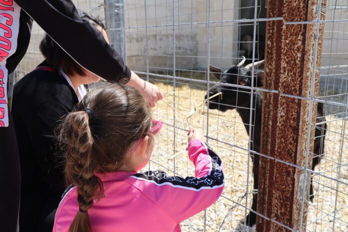 La valle degli Asini - Laterza - 2