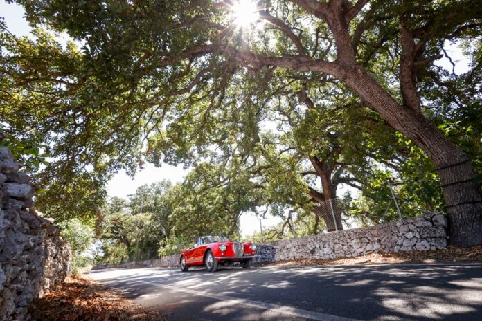 Ruote nella Storia Tricase Race 2025 ACI Lecce Regione Puglia Lancia Aurelia B24 e Quercia vallonea (1)