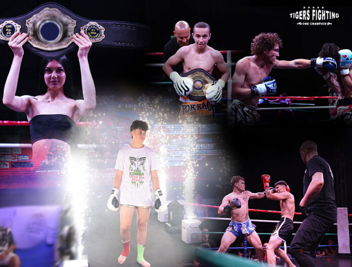 tiger-fighting----champion_2