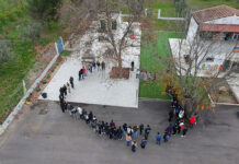 Cerignola, su Terra Aut prende forma una vigna per produrre uva da vino