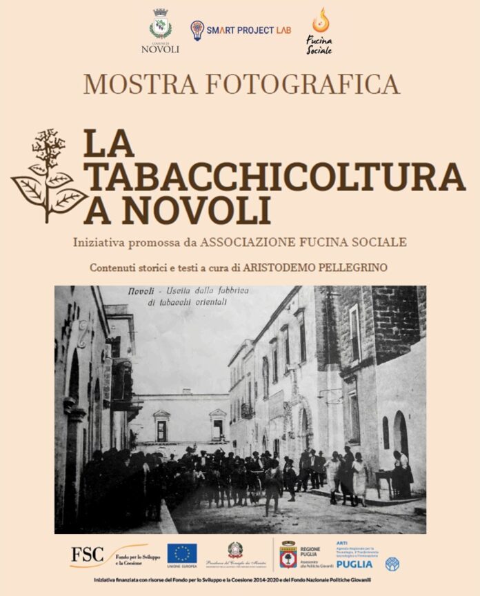 loc mostra