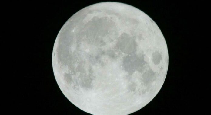 Luna del cervo