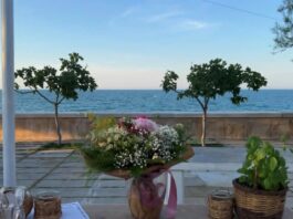“Salsa & Salsedine”: al Barbayanne di Trani la grande festa della tradizione del Sud