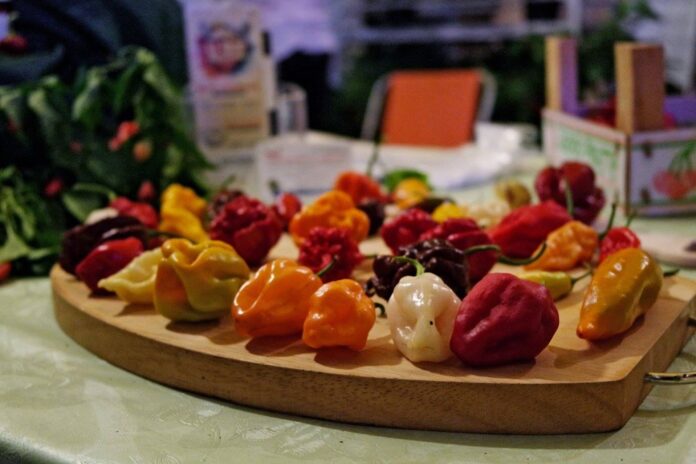 PEPERONCINI GARA