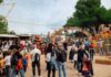 Dal 10 al 25 ottobre torna “Il Parco d’Autunno – La Festa delle Zucche” al Raffo Parco Gondar di Gallipoli