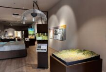 Castelluccio Valmaggiore, Decaro alla riapertura del Museo Valle del Celone